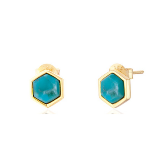 Liga Sterling Silver Turquoise Hexagon Stud Earrings - Exquisite Crystals